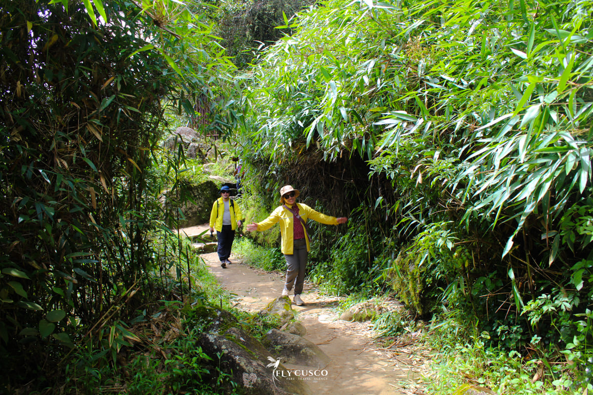 Cusco | Ollantaytambo | Aguas Calientes | Machu Picchu | Cusco 7