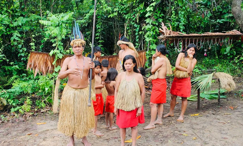 Botanical Walk | Yagua Tribu 1