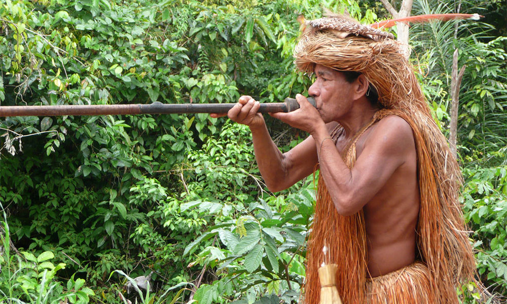 Explore a selva peruana em 4 dias saindo de Iquitos com o Macambo Lodge 3