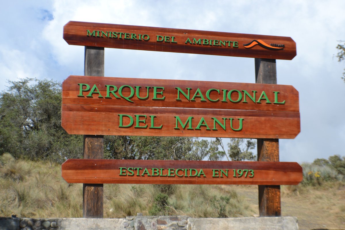 Cusco | Bosque de nubes |Ninamarca | Paucartambo | Ajanaco 3