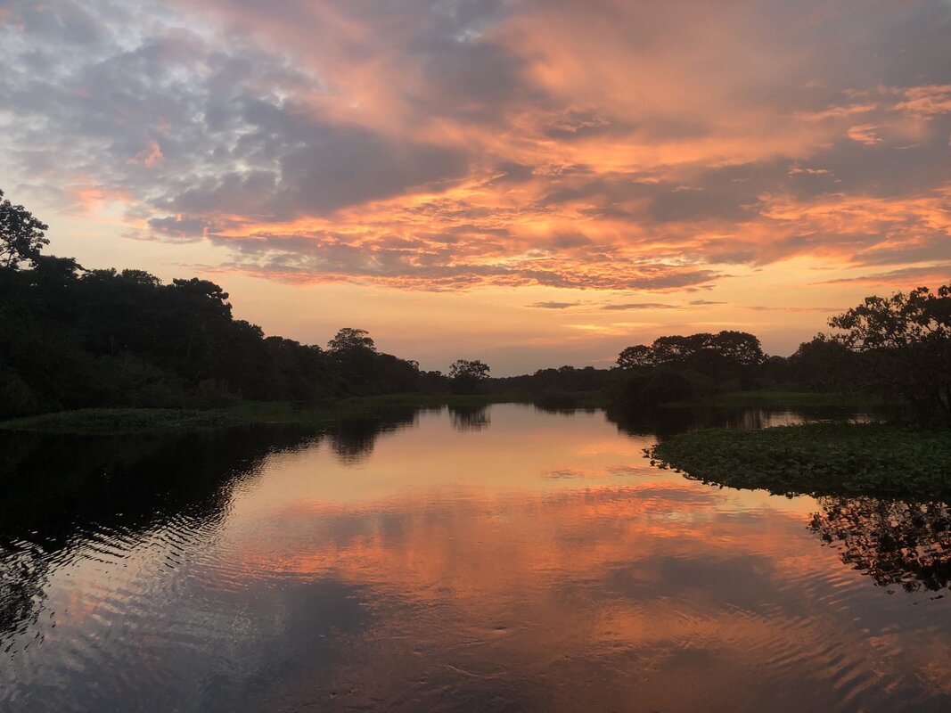Manu Tour Ecologico-4 Dias al Parque Nacional desde Cusco
 6